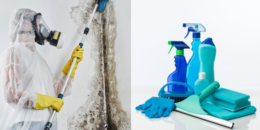 Recognizing the Signs of Mold Infestation and Effective Ways to Combat It