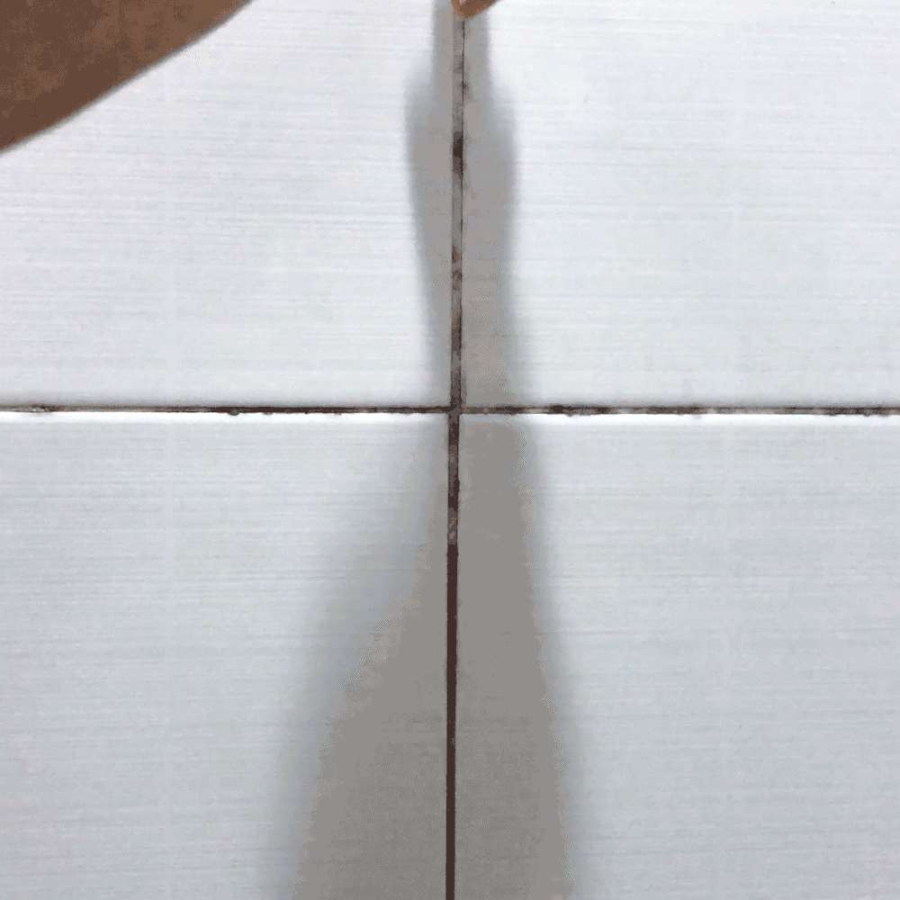 Mold Remover Gel (3 pcs) Combo Set
