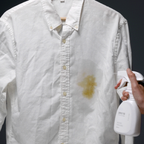 Stain Remover Spray (cloth / shoes)