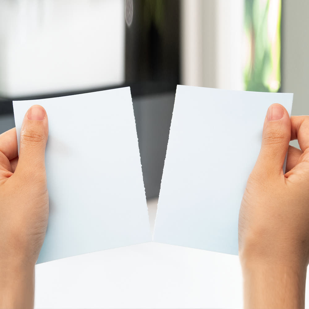 FROHDACHS Dual Ultra-Concentrated Laundry Sheets (30 sheets)