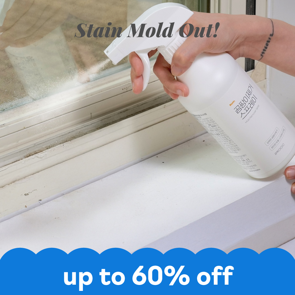 Mold Remover Spray | Remove mold & mildew