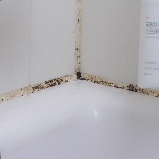 GONG0100 Singapore – Gong0100 Singapore